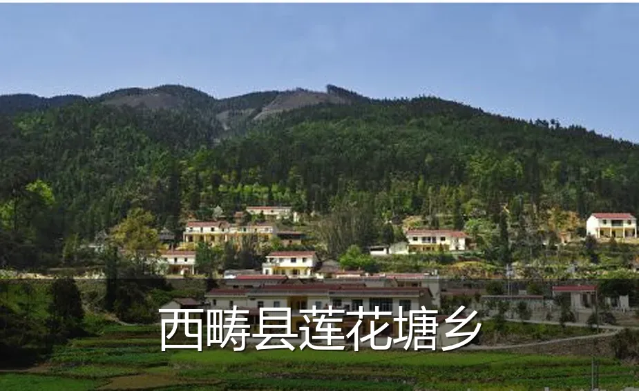 西畴县莲花塘乡